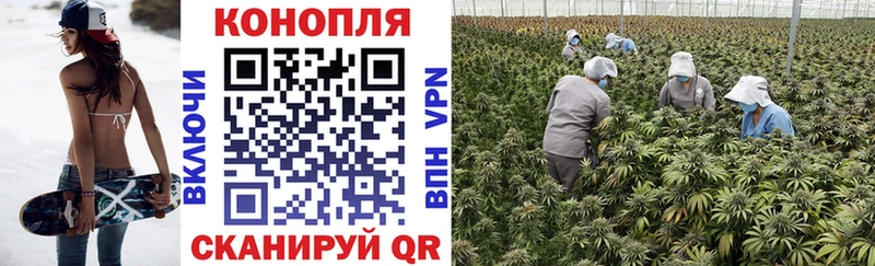 Меф мяу мяу Челябинск