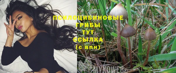гидра Абдулино