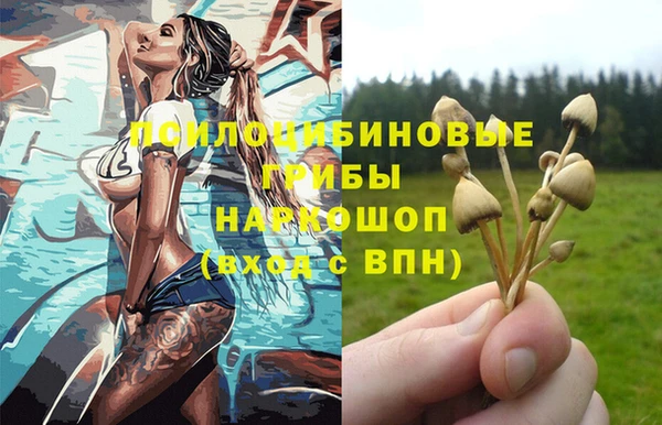 Альфа ПВП Абаза