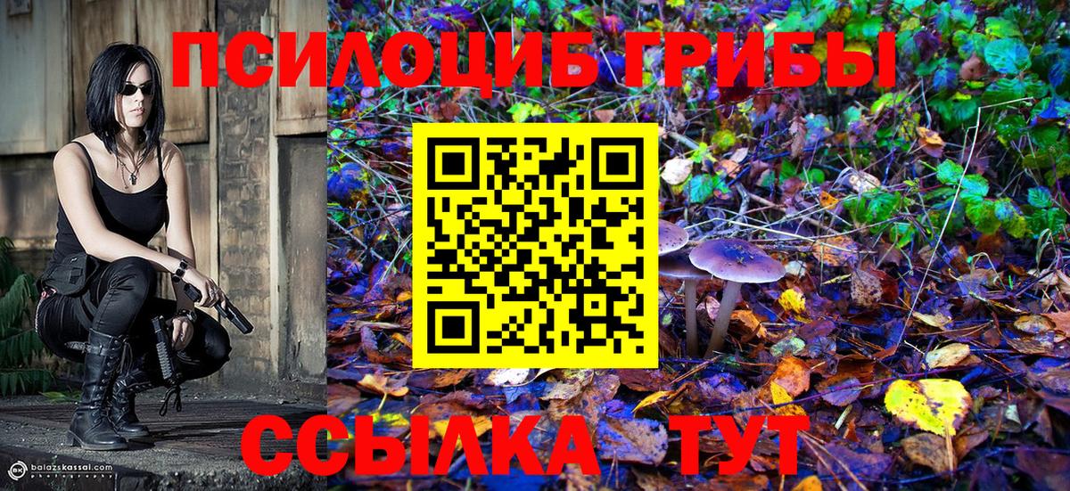 Псилоцибиновые грибы Magic Shrooms  Вход с VPN  Челябинск  Псилоцибиновые грибы Magic Shrooms 